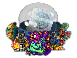 2021 Community Sticker Capsule - Preço e onde comprar no CS2