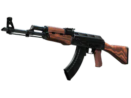 AK-47 | Cartel (Well-Worn) — skin CS2