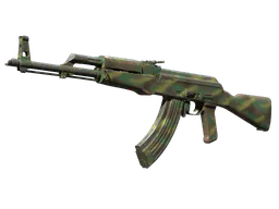 AK-47 | Jungle Spray (Well-Worn) — skin CS2