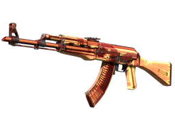 AK-47 | X-Ray (Well-Worn) — skin CS2