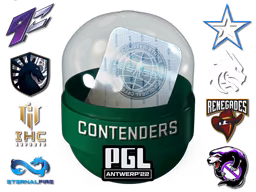 Antwerp 2022 Contenders Sticker Capsule - Preço e onde comprar no CS2