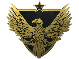 Pin Brigadier General Pin - Preço e onde comprar no CS2