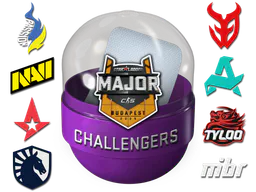 Budapest 2025 Challengers Sticker Capsule - Preço e onde comprar no CS2