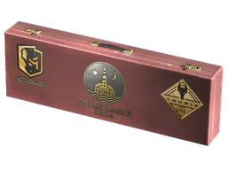 Souvenir Package Copenhagen 2024 Anubis Souvenir Package - Preço e onde comprar no CS2