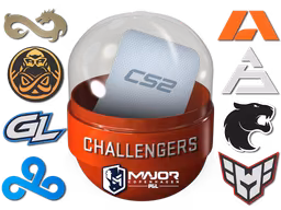 Copenhagen 2024 Challengers Sticker Capsule - Preço e onde comprar no CS2