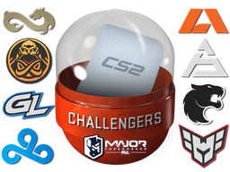 Copenhagen 2024 Challengers Sticker Capsule - Preço e onde comprar no CS2