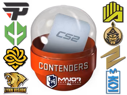 Copenhagen 2024 Contenders Sticker Capsule - Preço e onde comprar no CS2