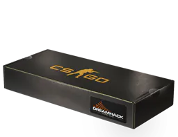 Souvenir Package DreamHack 2013 Souvenir Package - Preço e onde comprar no CS2