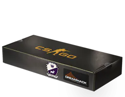 Souvenir Package DreamHack 2014 Cobblestone Souvenir Package - Preço e onde comprar no CS2