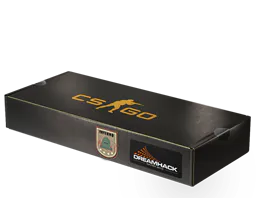 Souvenir Package DreamHack 2014 Inferno Souvenir Package - Preço e onde comprar no CS2