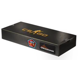 Souvenir Package DreamHack 2014 Mirage Souvenir Package - Preço e onde comprar no CS2