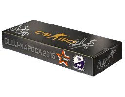 Souvenir Package DreamHack Cluj-Napoca 2015 Cobblestone Souvenir Package - Preço e onde comprar no CS2