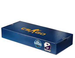 Souvenir Package ESL One Cologne 2014 Cobblestone Souvenir Package - Preço e onde comprar no CS2