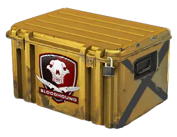 Falchion Case - Preço e onde comprar no CS2