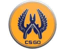 Pin Guardian 2 Pin - Preço e onde comprar no CS2