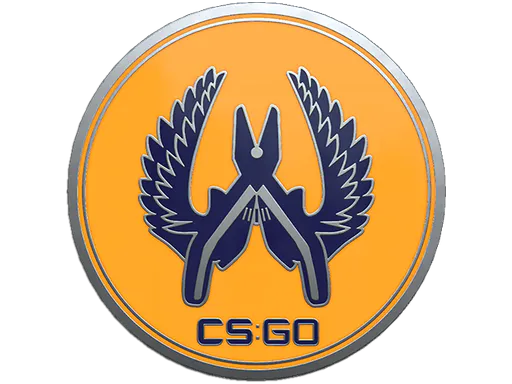 Guardian 2 Pin - Preço e onde comprar no CS2