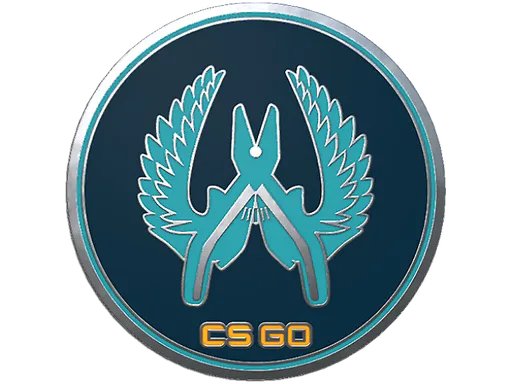 Guardian Pin - Preço e onde comprar no CS2
