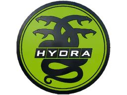 Pin Hydra Pin - Preço e onde comprar no CS2