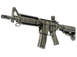 M4A4 | Faded Zebra (Field-Tested) — skin CS2