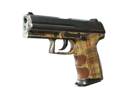 P2000 | Coach Class (Battle-Scarred) — skin CS2