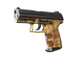 P2000 | Coach Class (Well-Worn) — skin CS2