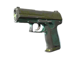 P2000 | Marsh (Battle-Scarred) — skin CS2