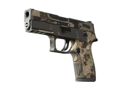 P250 | Black & Tan (Battle-Scarred) — skin CS2