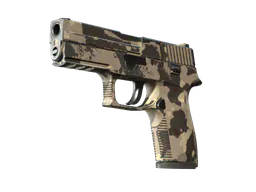 P250 | Black & Tan (Well-Worn) — skin CS2