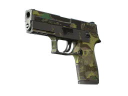 P250 | Boreal Forest (Battle-Scarred) — skin CS2