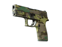 P250 | Boreal Forest (Well-Worn) — skin CS2