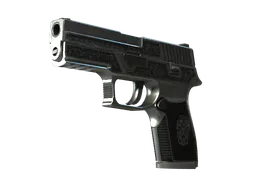 P250 | Cartel (Well-Worn) — skin CS2
