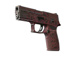 P250 | Contaminant (Well-Worn) — skin CS2