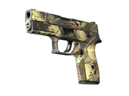 P250 | Contamination (Well-Worn) — skin CS2