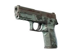 P250 | Copper Oxide (Battle-Scarred) — skin CS2