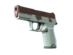 P250 | Copper Oxide (Minimal Wear) — skin CS2