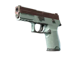 P250 | Copper Oxide (Well-Worn) — skin CS2