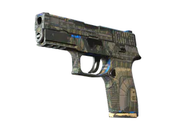 P250 | Exchanger (Field-Tested) — skin CS2