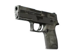P250 | Facets (Battle-Scarred) — skin CS2