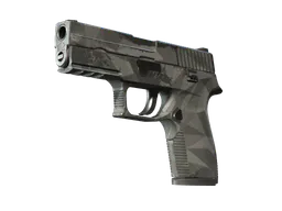 P250 | Facets (Well-Worn) — skin CS2