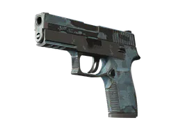P250 | Forest Night (Battle-Scarred) — skin CS2