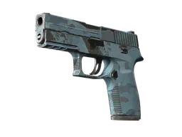 P250 | Forest Night (Field-Tested) — skin CS2