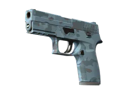 P250 | Forest Night (Minimal Wear) — skin CS2