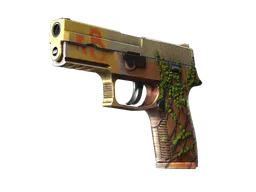 P250 Inferno Factory New - Preço e onde comprar no CS2