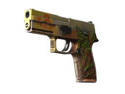 P250 | Inferno (Field-Tested) — skin CS2