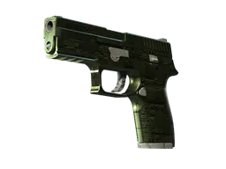 P250 | Iron Clad (Minimal Wear) — skin CS2