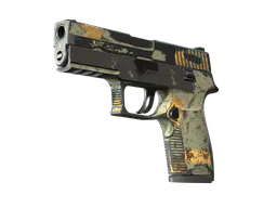 P250 | Modern Hunter (Battle-Scarred) — skin CS2