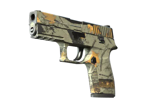 P250 Modern Hunter Field-Tested - Preço e onde comprar no CS2