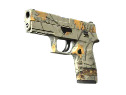 P250 | Modern Hunter (Minimal Wear) — skin CS2