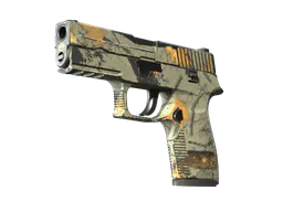 P250 | Modern Hunter (Well-Worn) — skin CS2