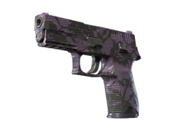 P250 | Plum Netting (Minimal Wear) — skin CS2